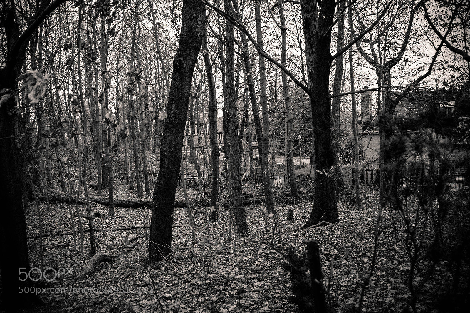 Sony Alpha a3500 sample photo. Montreal photography