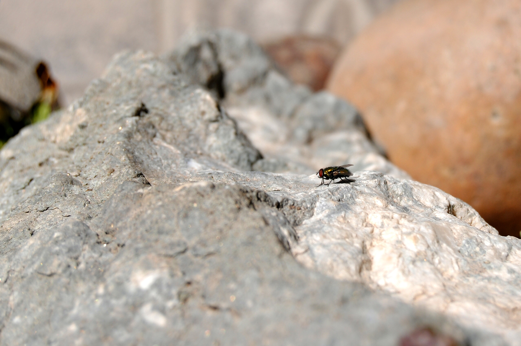 Nikon D3000 sample photo. Haciendo cumbre photography