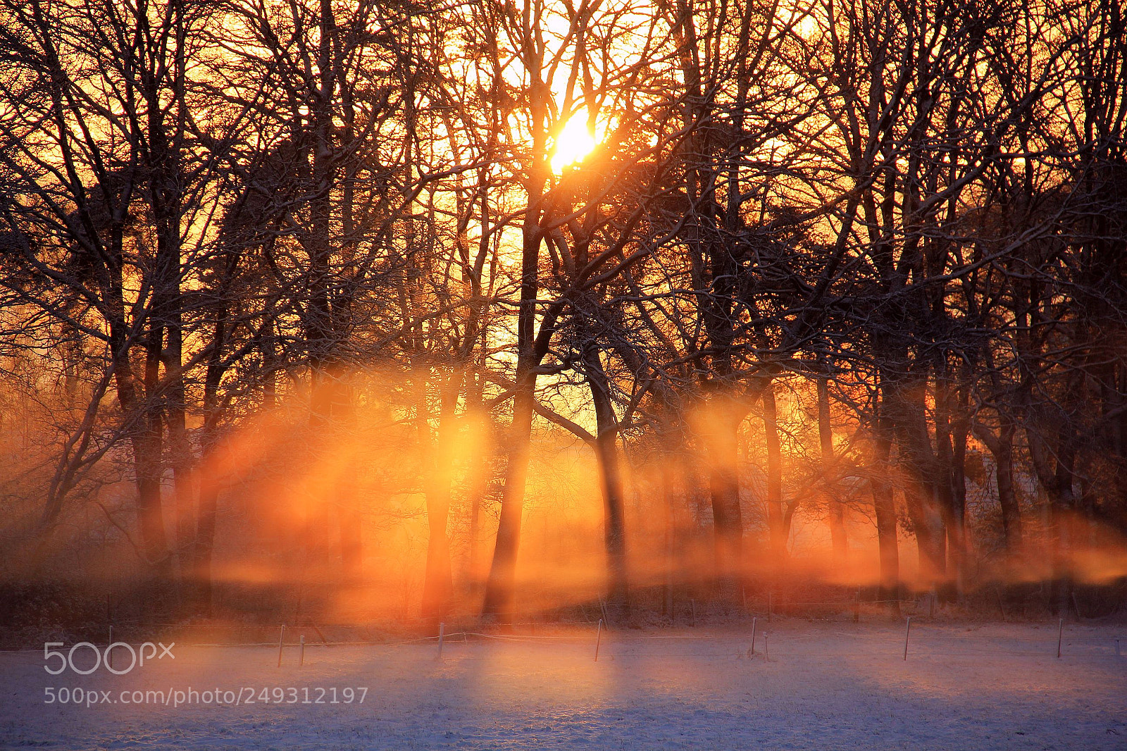 Canon EF-S 18-135mm F3.5-5.6 IS sample photo. Morgen licht photography