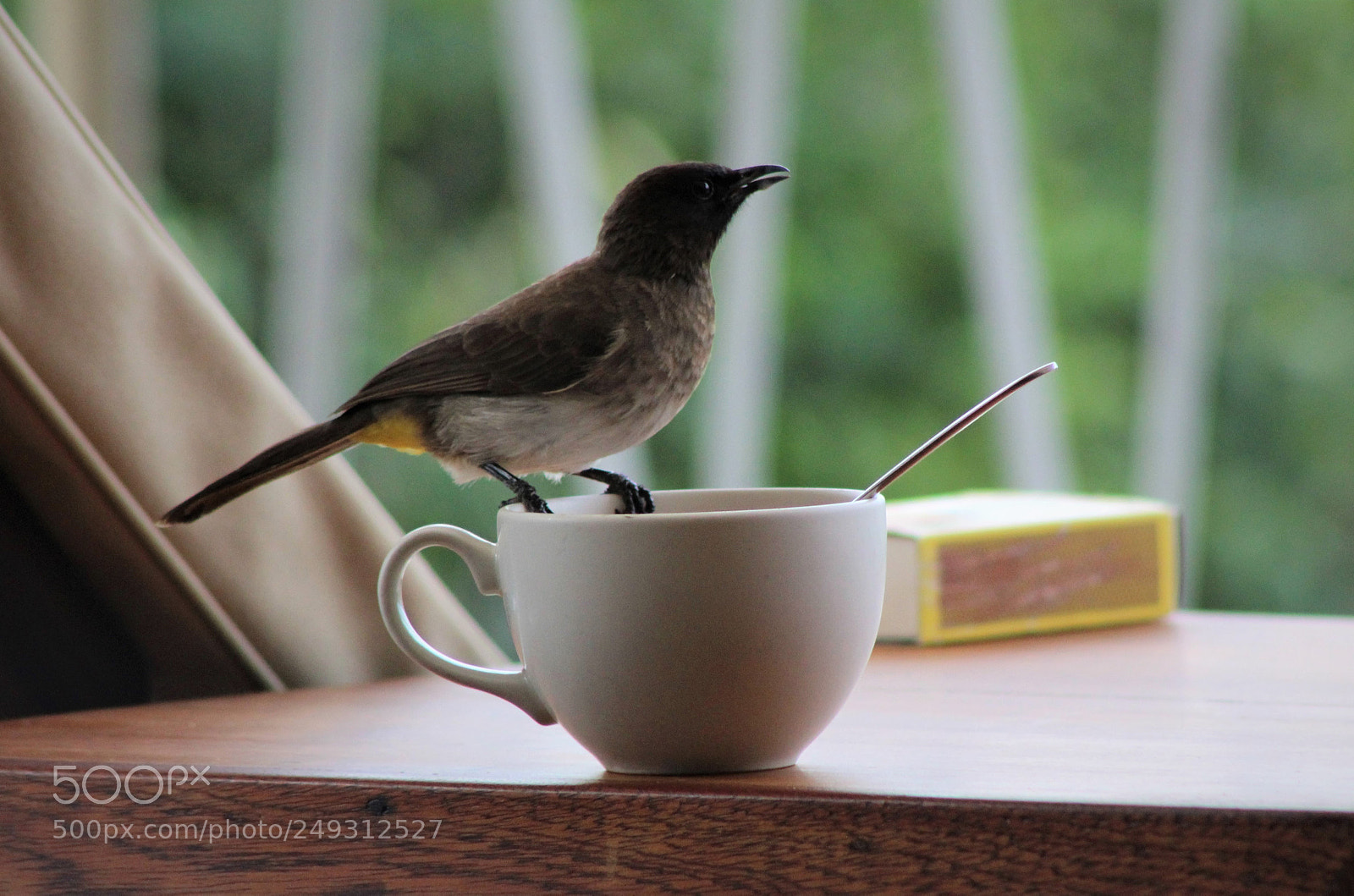 Canon EOS 1200D (EOS Rebel T5 / EOS Kiss X70 / EOS Hi) sample photo. Tea-time photography