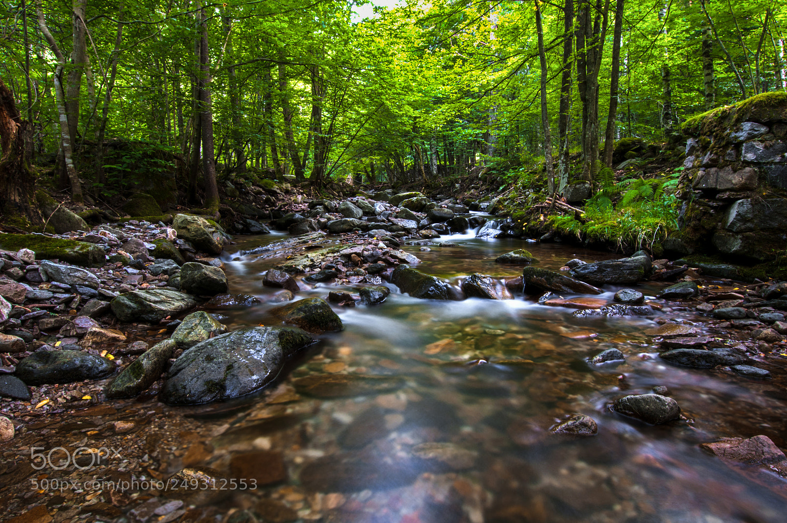Nikon D90 sample photo. Mountain stream photography