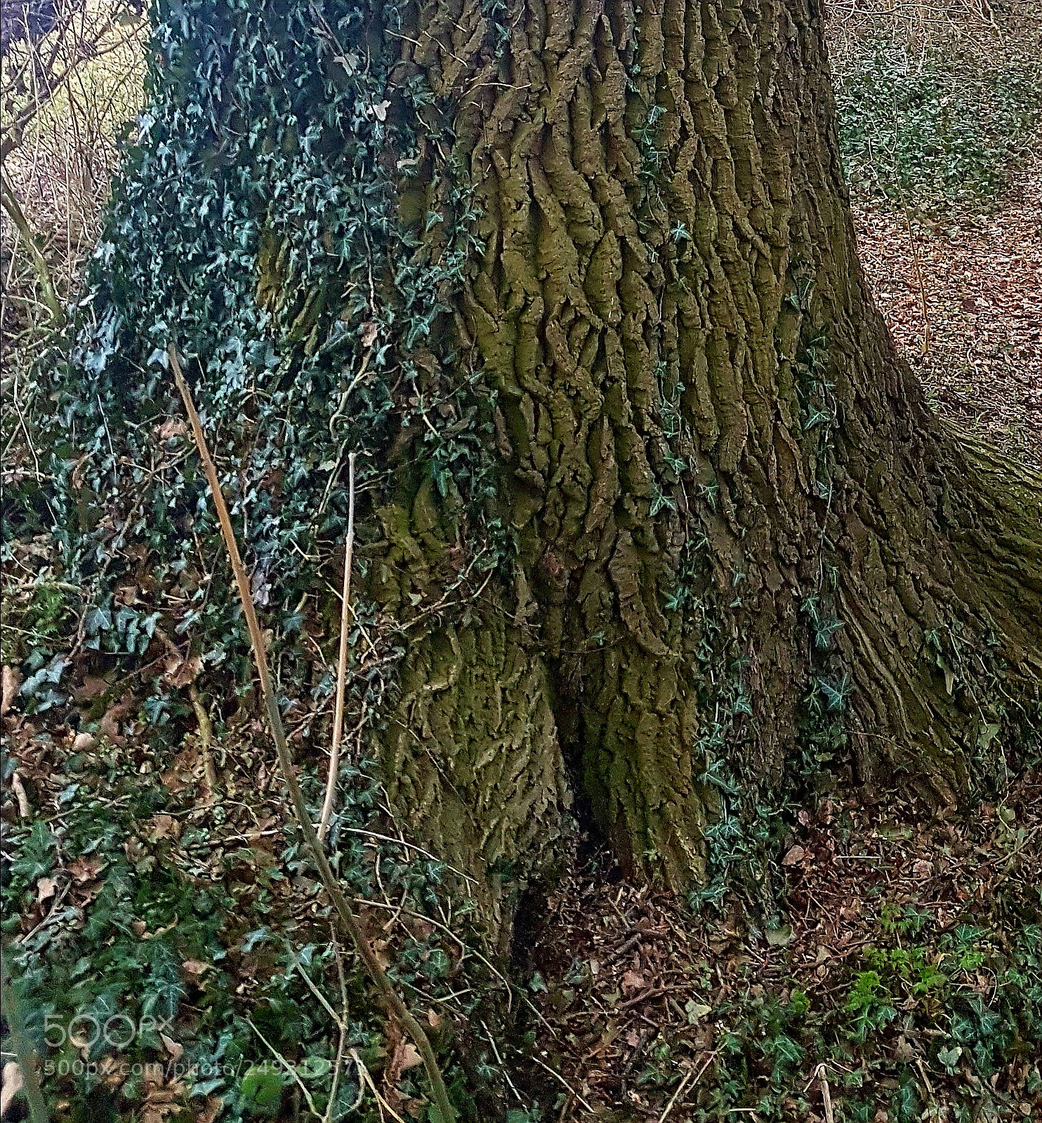 Samsung Galaxy S7 sample photo. Untitled photography