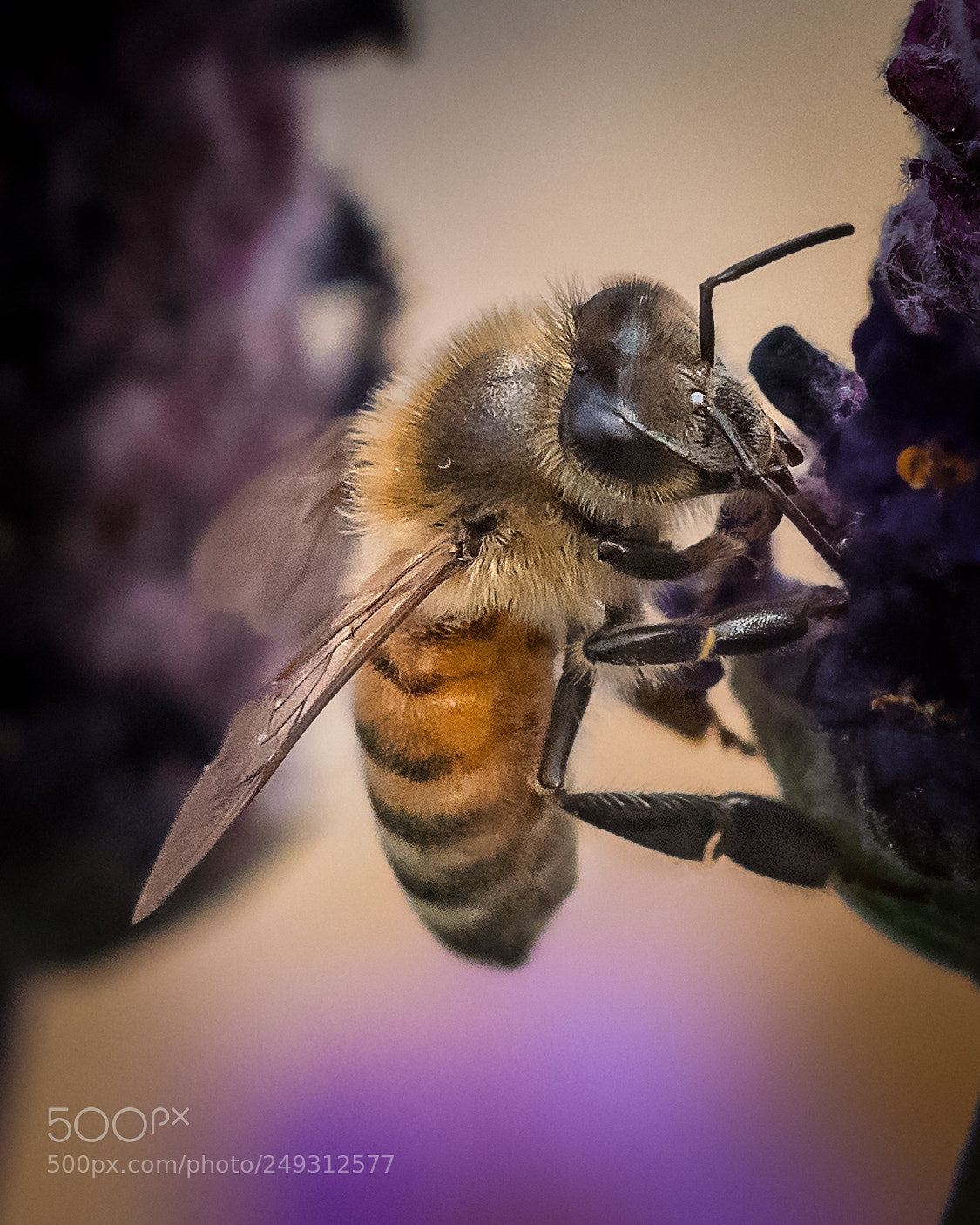 Nikon D810 sample photo. Empty again? photography