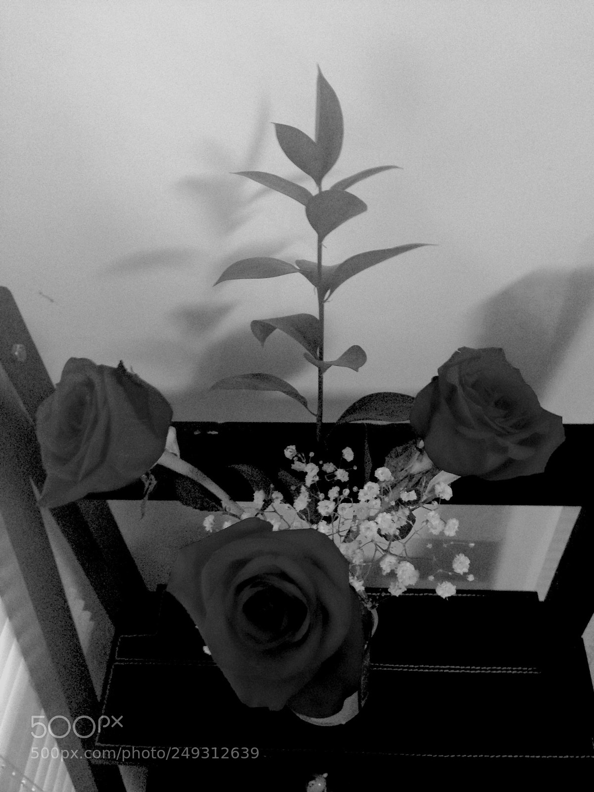 Apple iPhone 5 sample photo. Shadow photography