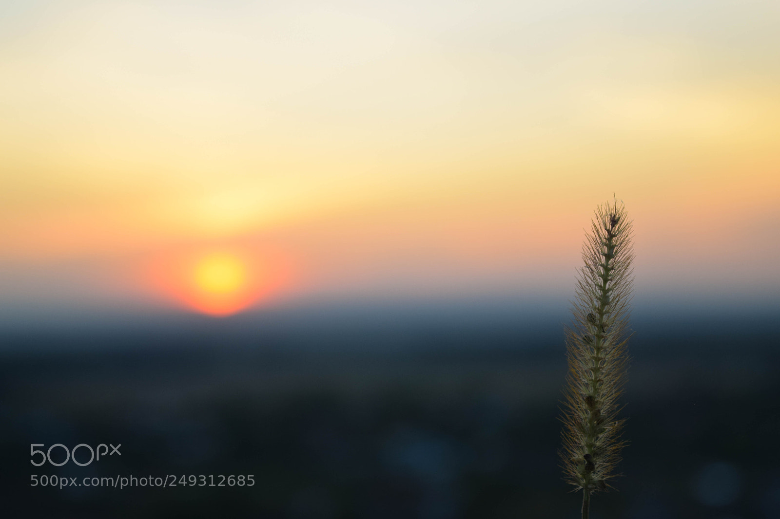 Nikon D5300 sample photo. Summer memories photography