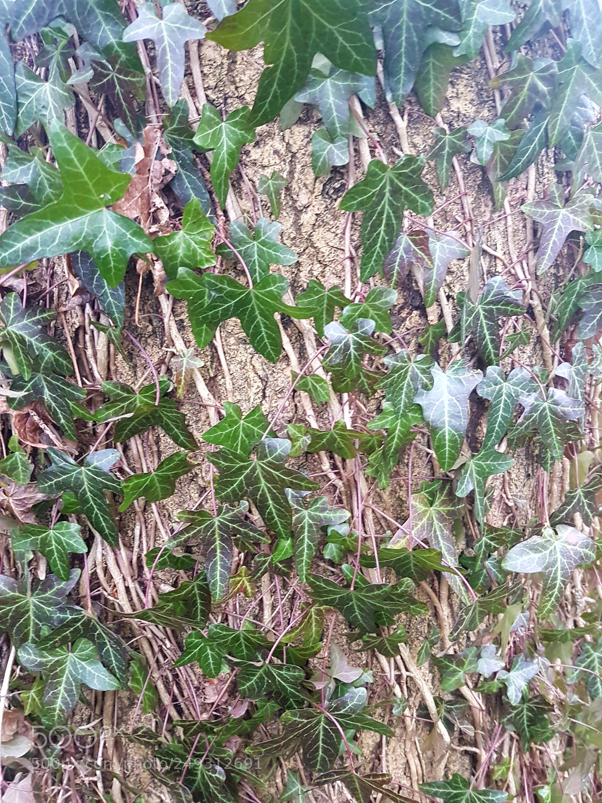 Samsung Galaxy S7 sample photo. Untitled photography