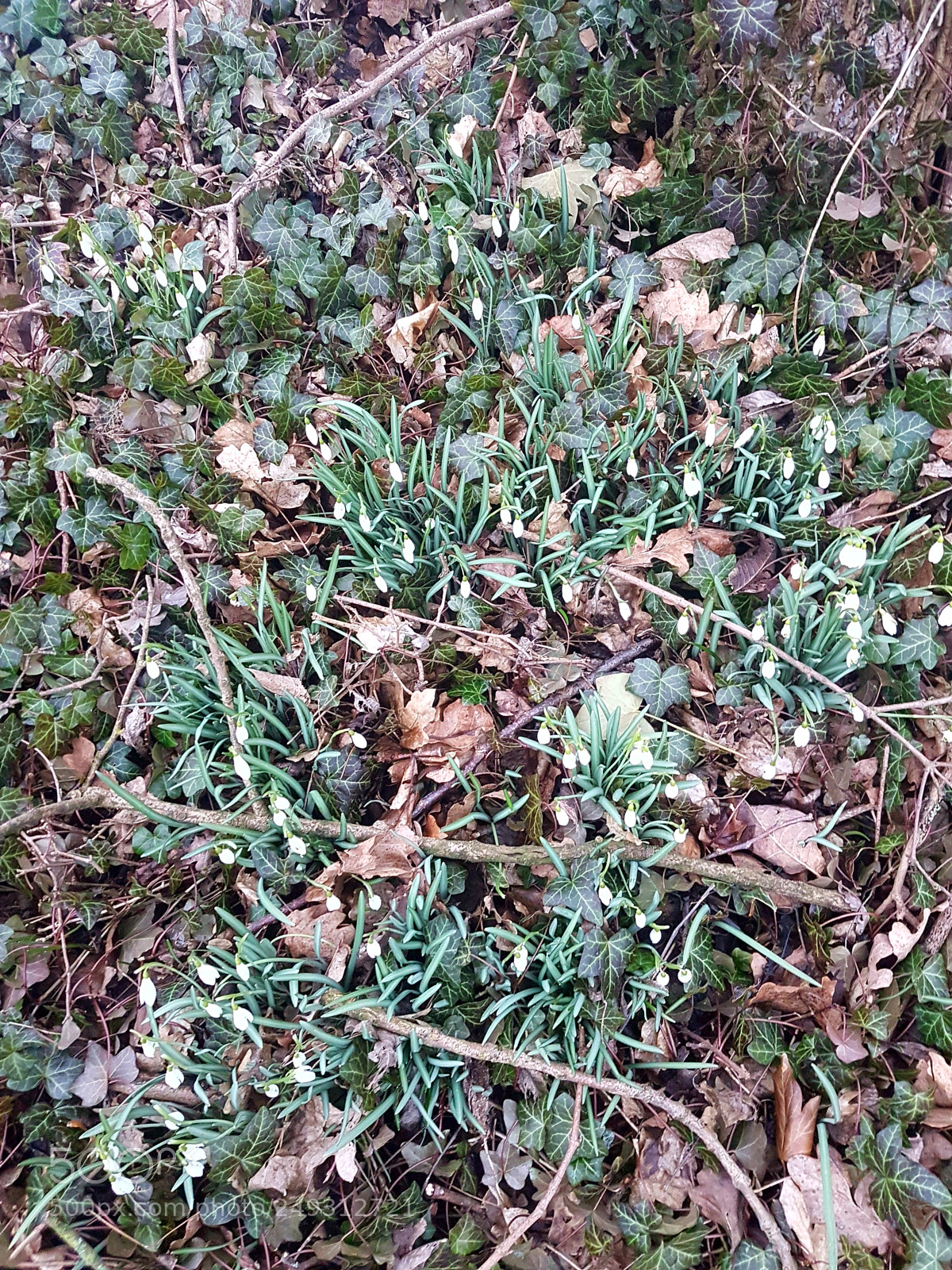 Samsung Galaxy S7 sample photo. Untitled photography