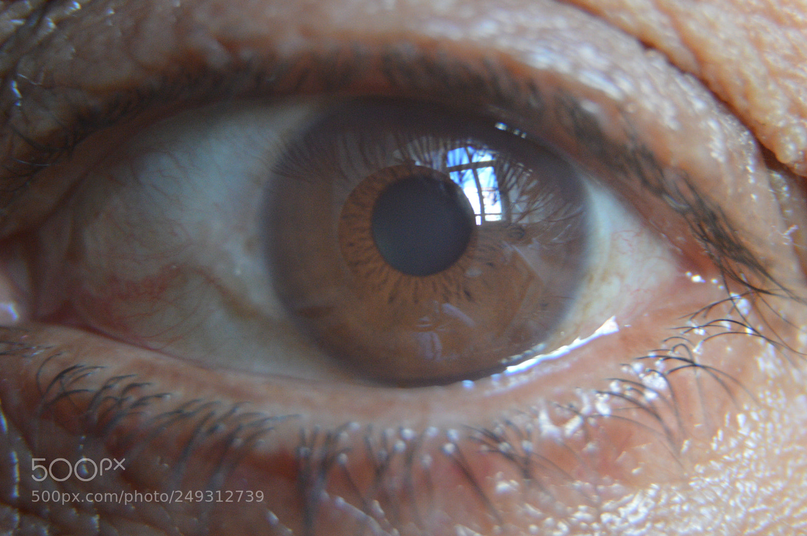 Nikon D3200 sample photo. Untitled photography