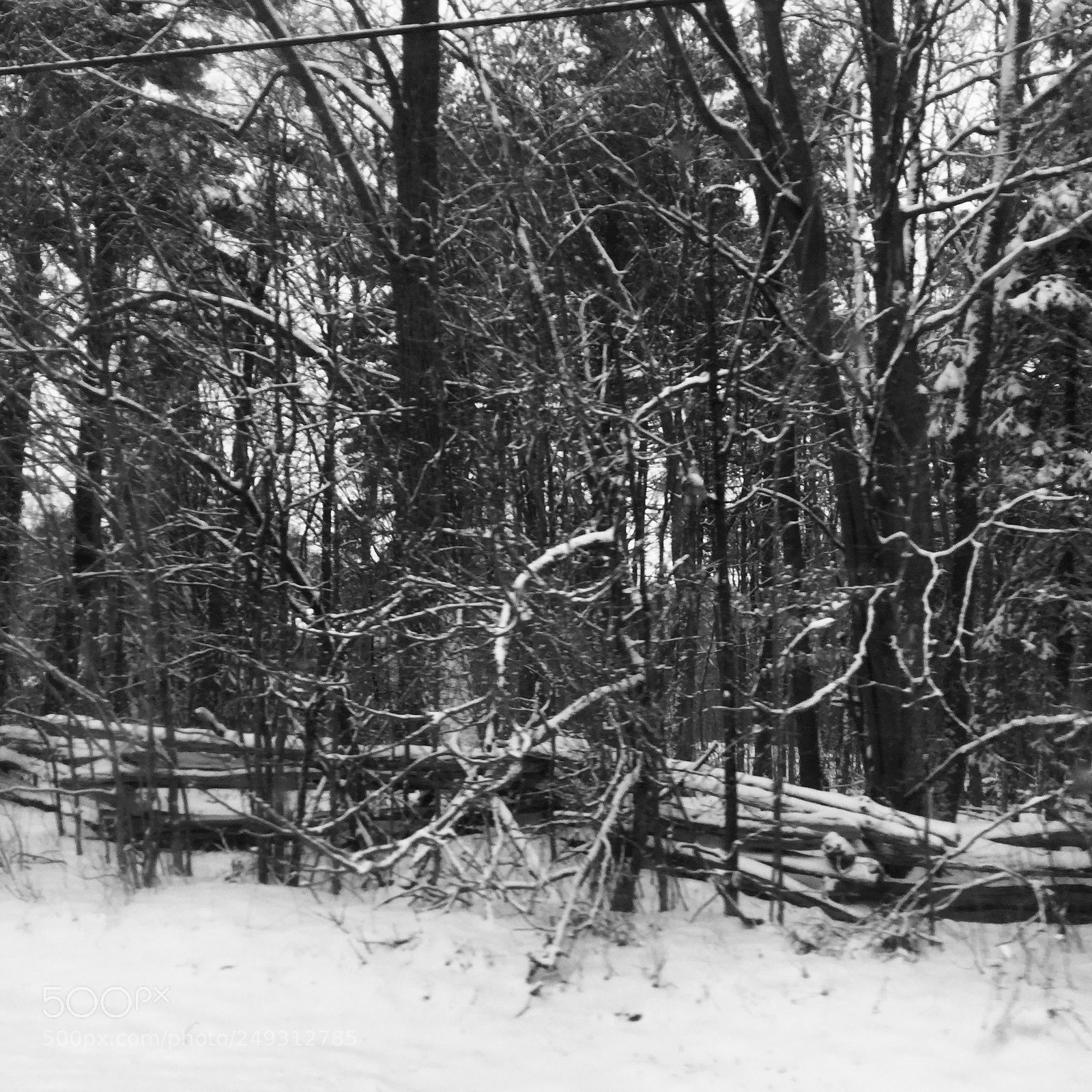 Apple iPod touch sample photo. Angel trees photography