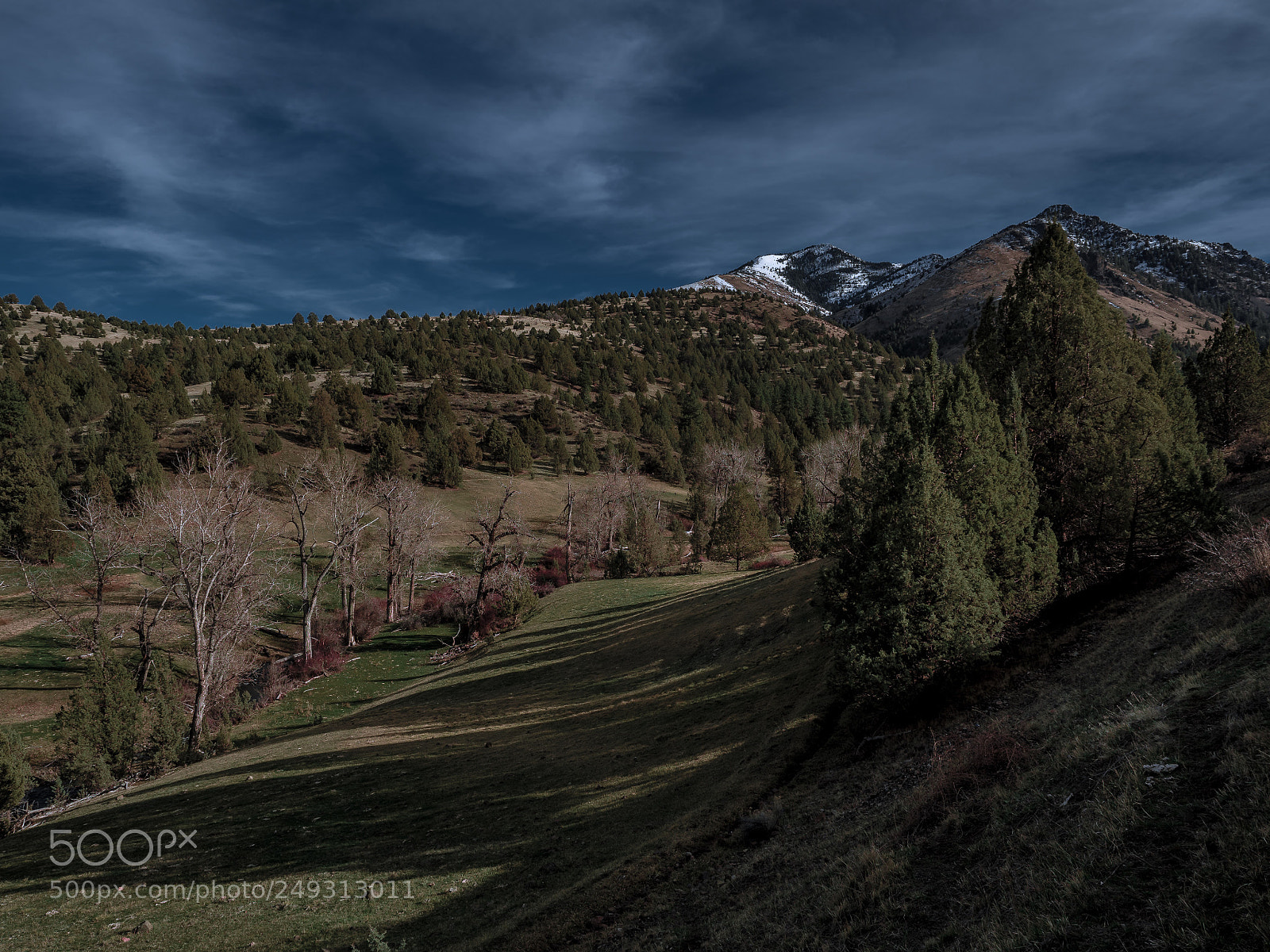 Olympus OM-D E-M5 II sample photo. Nf21 outside of mt photography