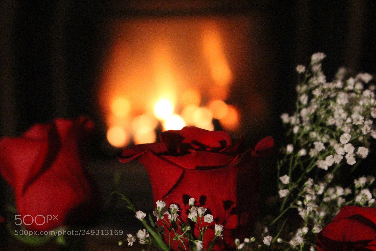 Canon EOS 700D (EOS Rebel T5i / EOS Kiss X7i) sample photo. The roses of love photography