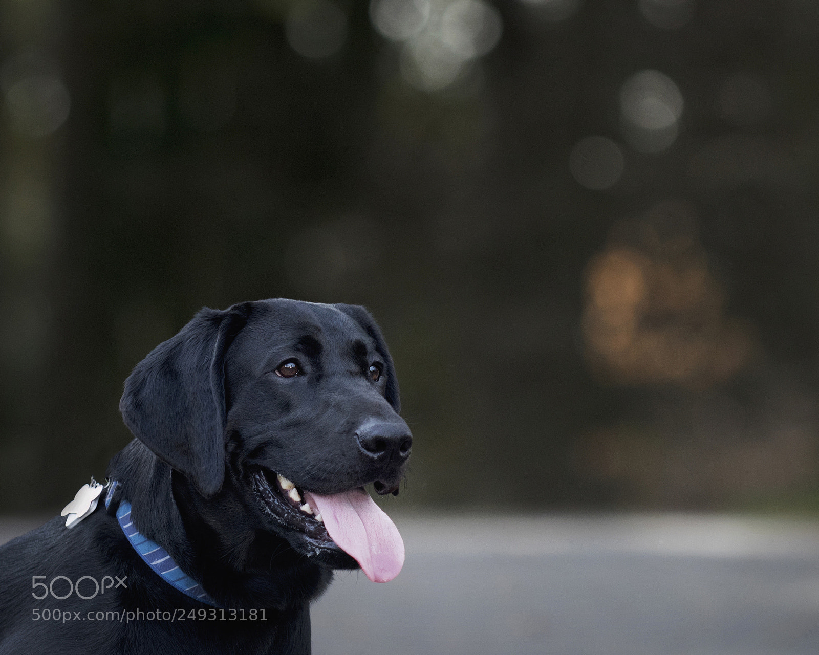 Nikon D810 sample photo. Drp photography