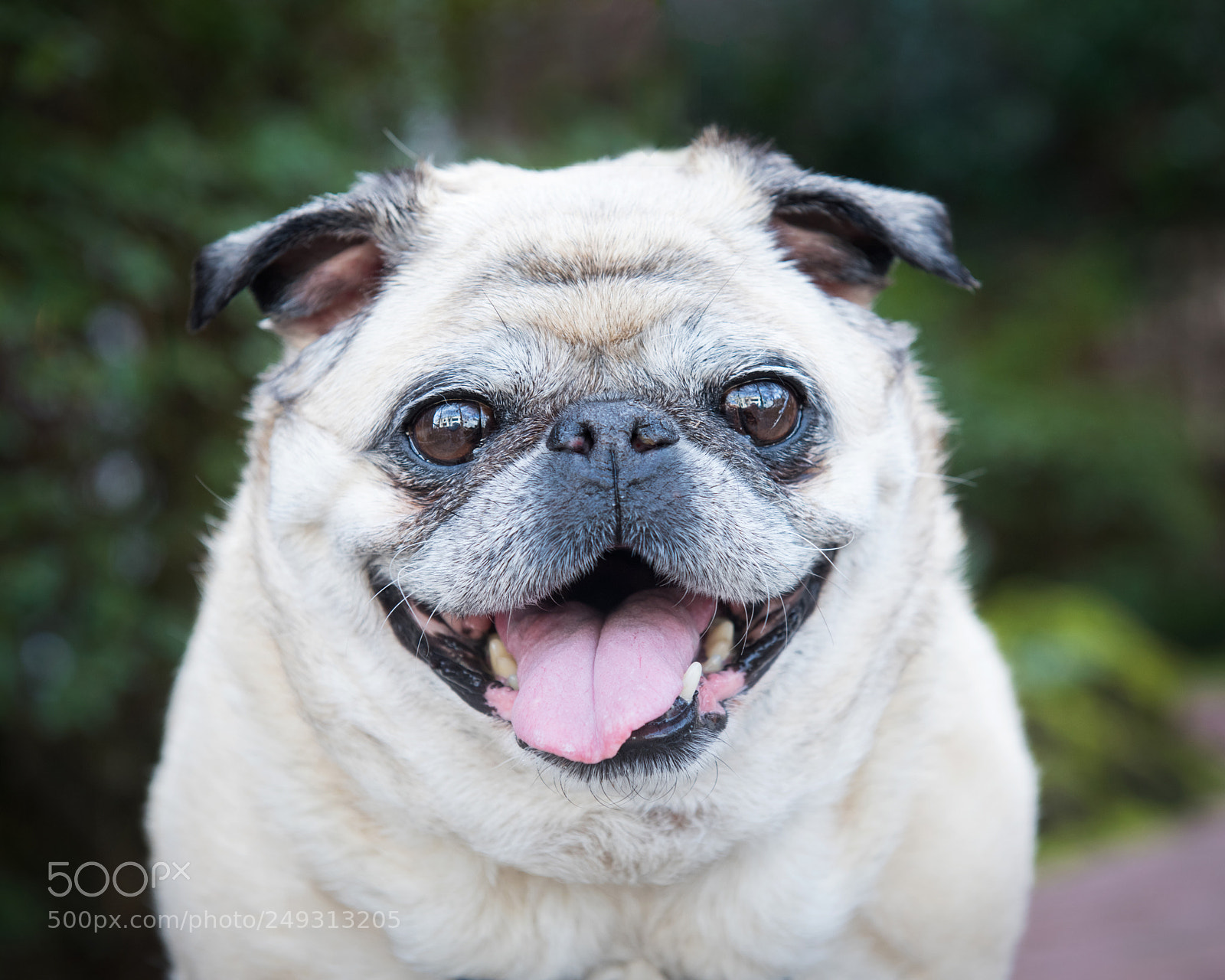 Nikon D810 sample photo. Drp photography