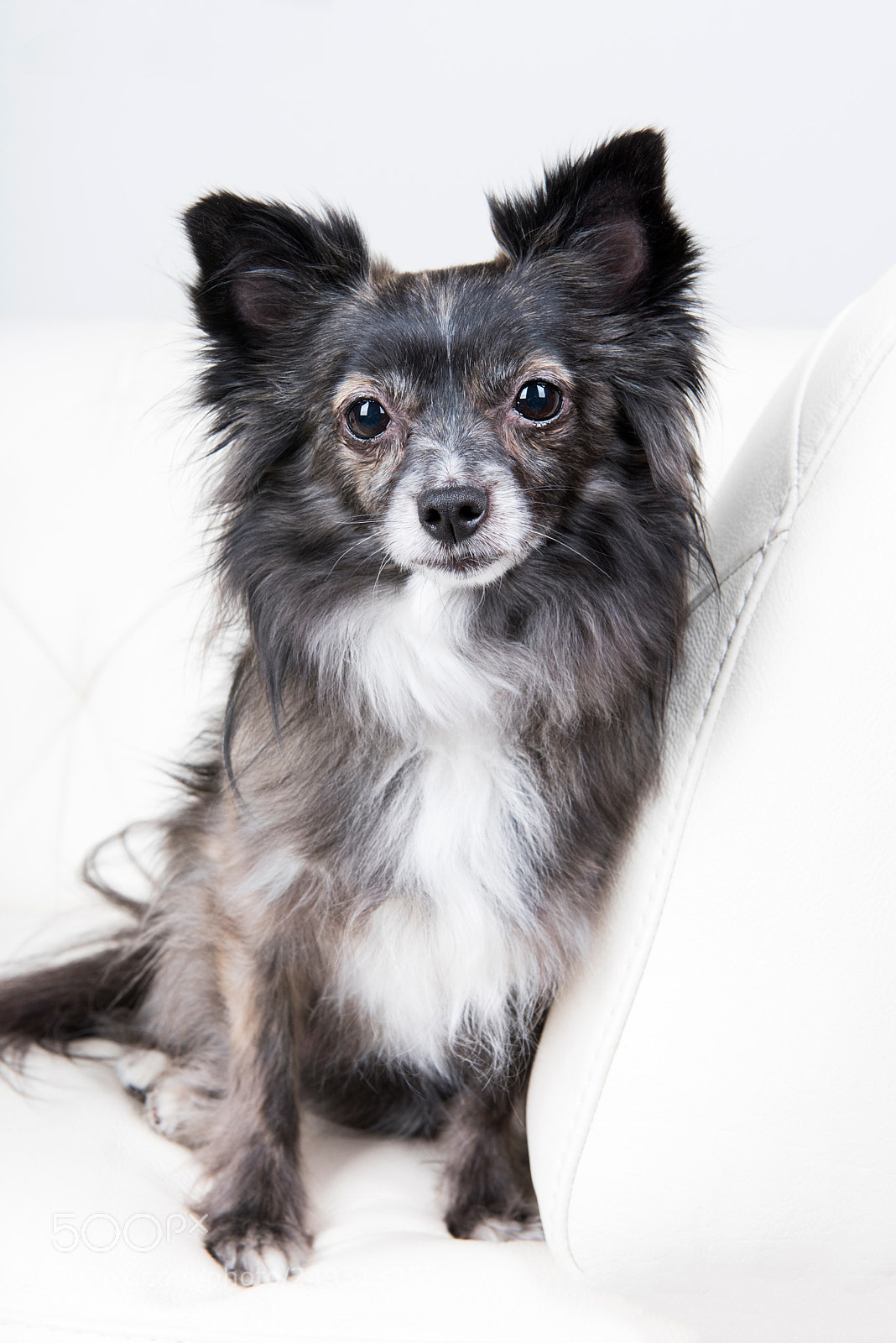 Nikon D810 sample photo. Drp photography