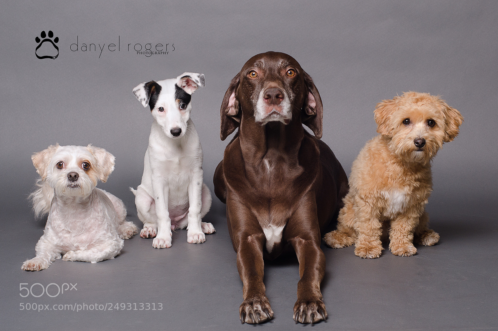 Nikon D7000 sample photo. All logofb photography
