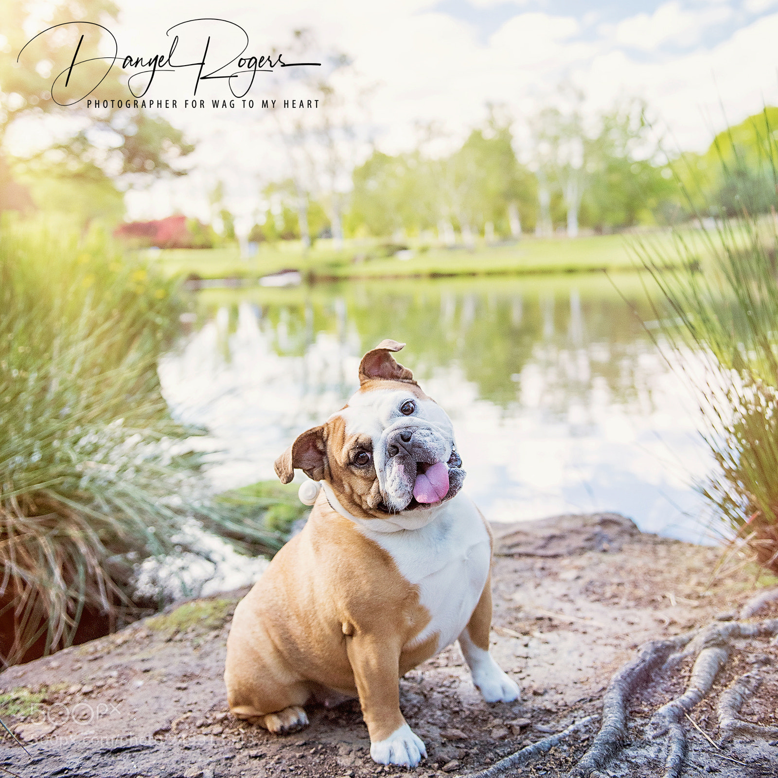 Nikon D810 sample photo. Drp photography