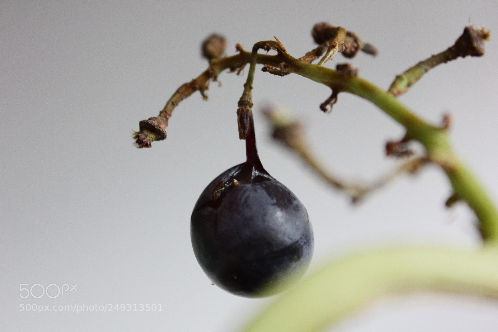 Canon EF-S 18-55mm F3.5-5.6 IS sample photo. Untitled photography