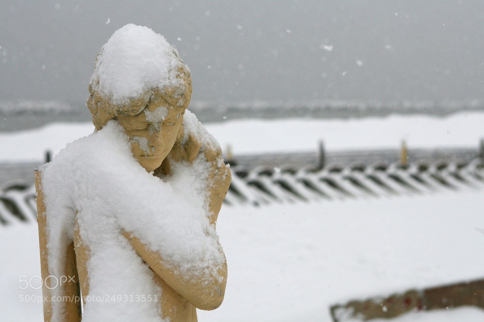 Canon EOS-1D Mark II N sample photo. Fran2945_2.jpg photography
