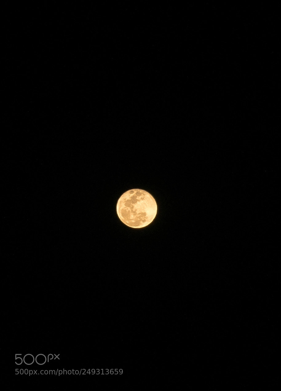 Nikon D5300 sample photo. Moon photography