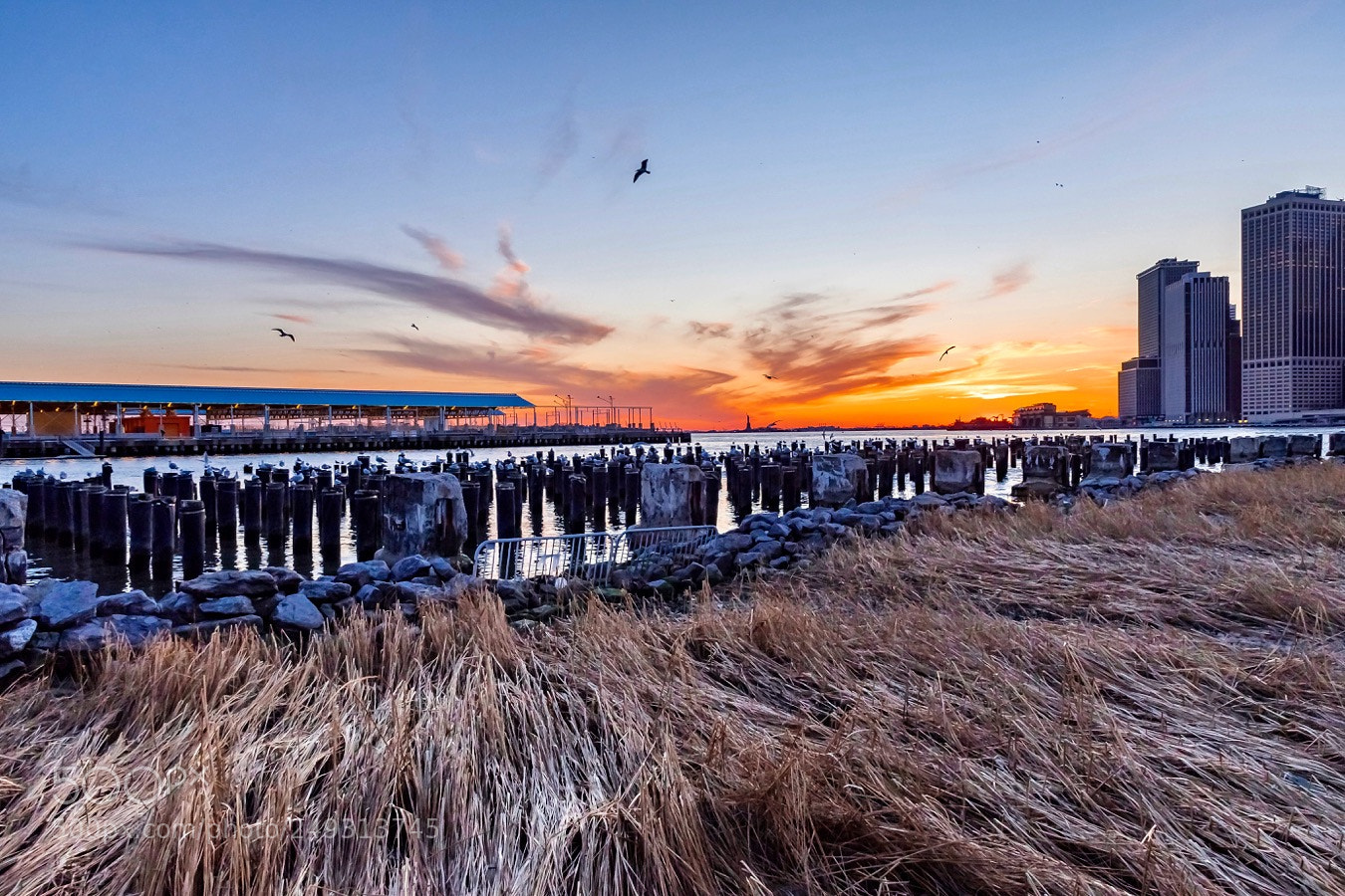 Nikon D500 sample photo. Sunday blues photography