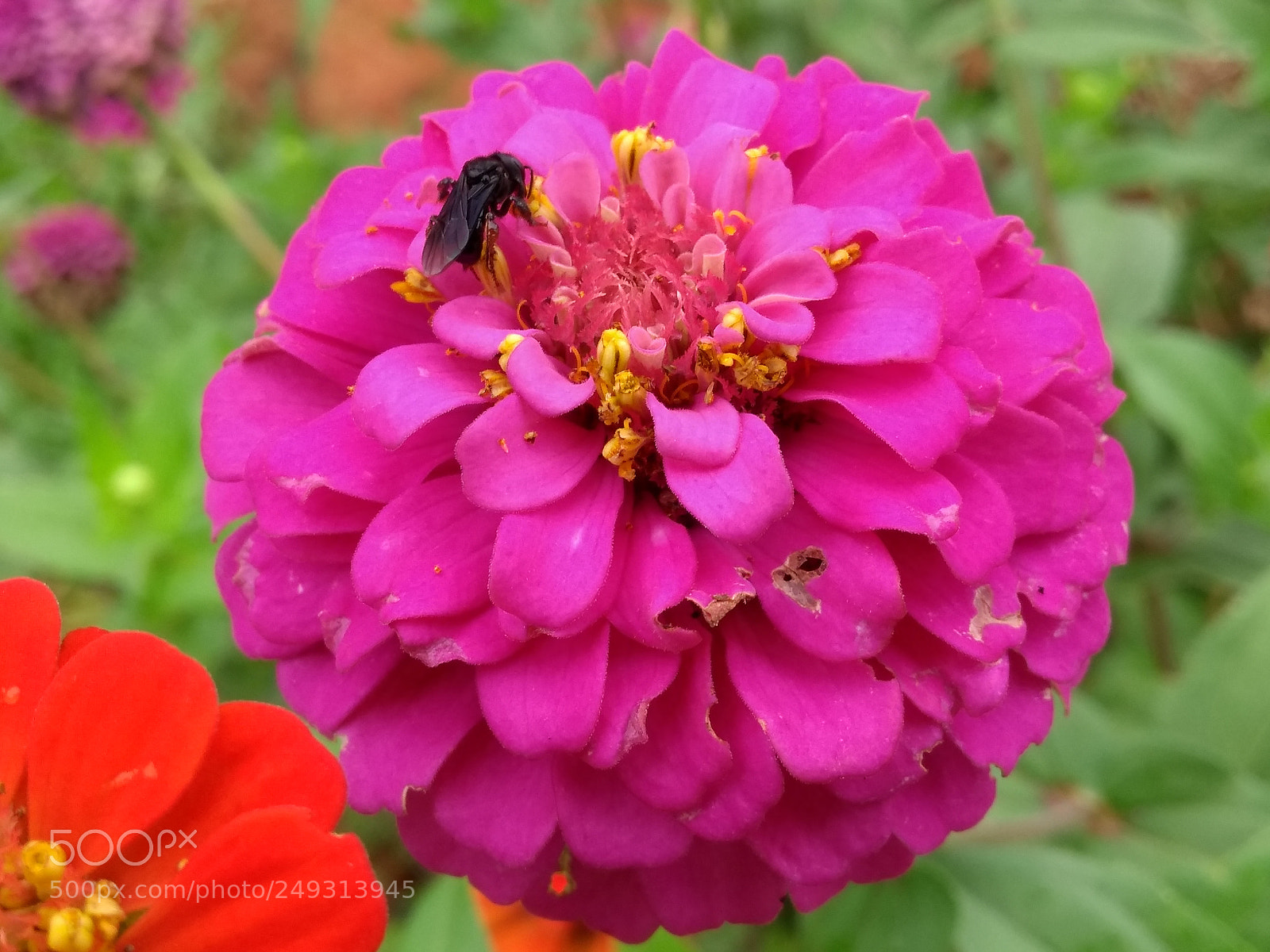 Motorola Moto G (5th Gen) sample photo. Untitled photography