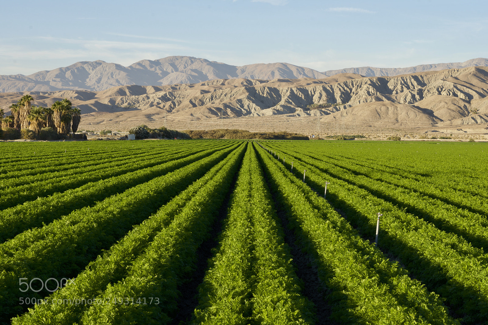 Nikon D7200 sample photo. Farm in the california photography