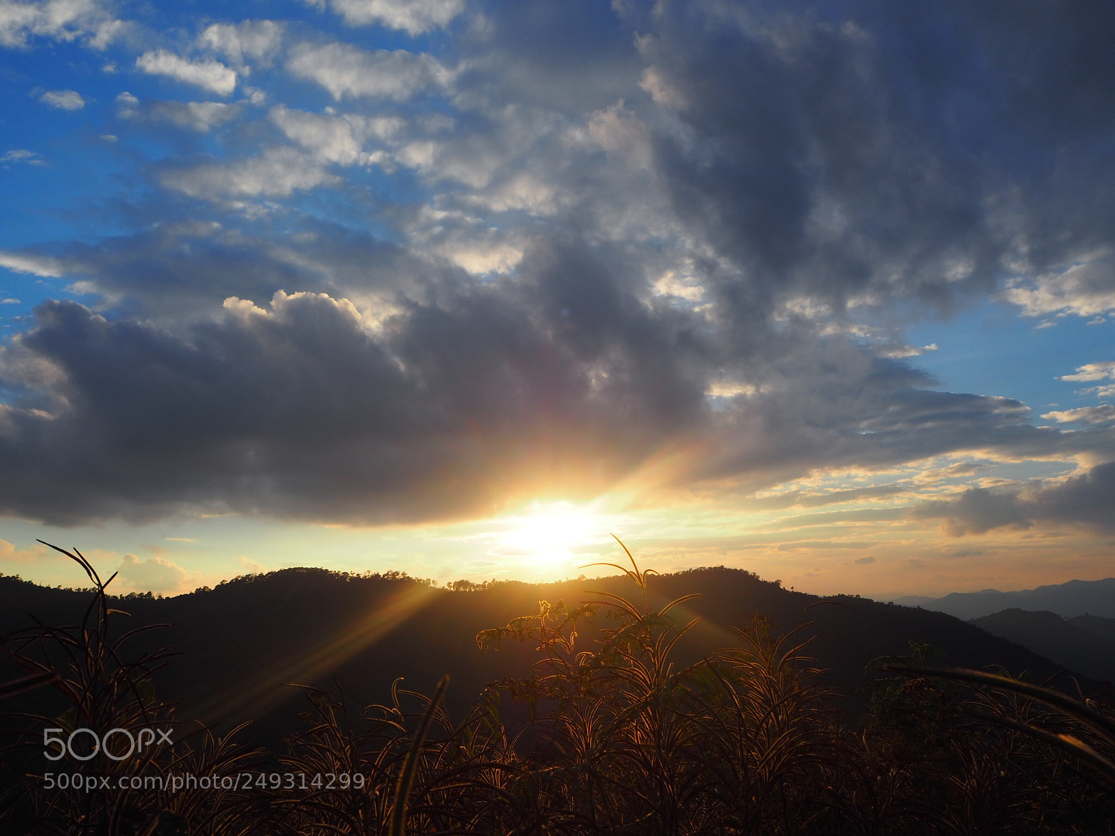 Olympus OM-D E-M10 II sample photo. Light from god ? photography