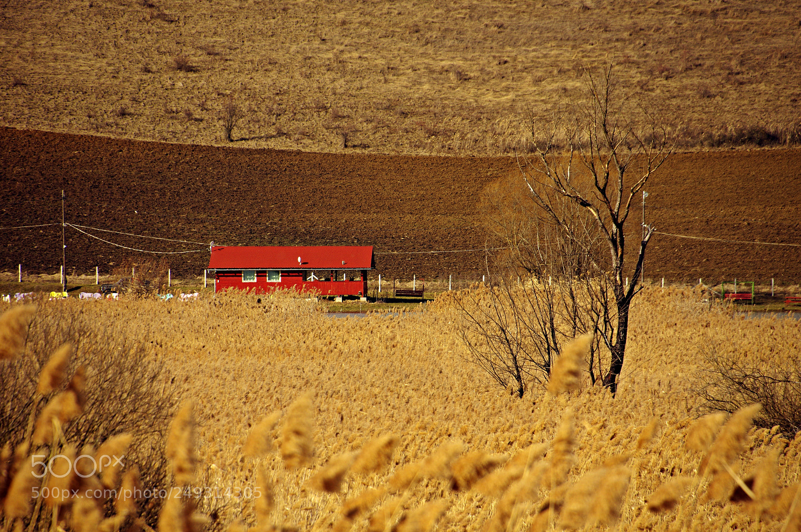 Pentax K-3 sample photo. The red house photography