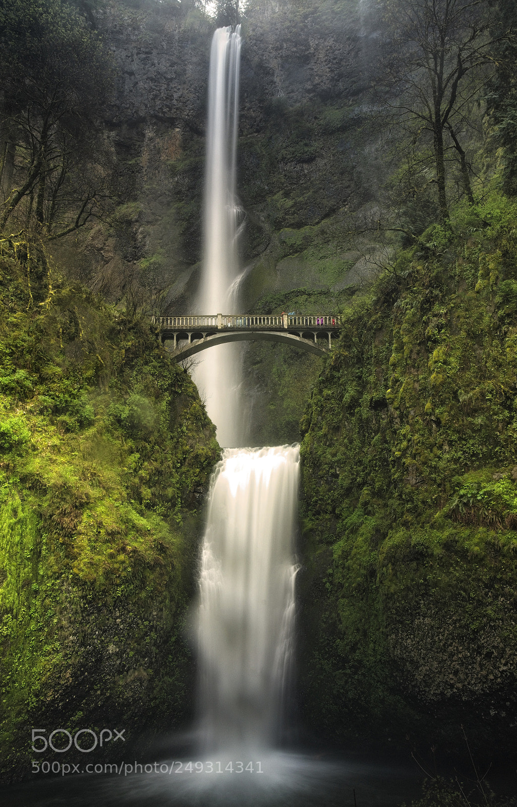 Sony a7R II sample photo. Multnomah falls once more photography