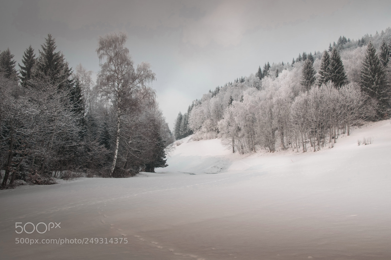Nikon D5300 sample photo. Alpes photography