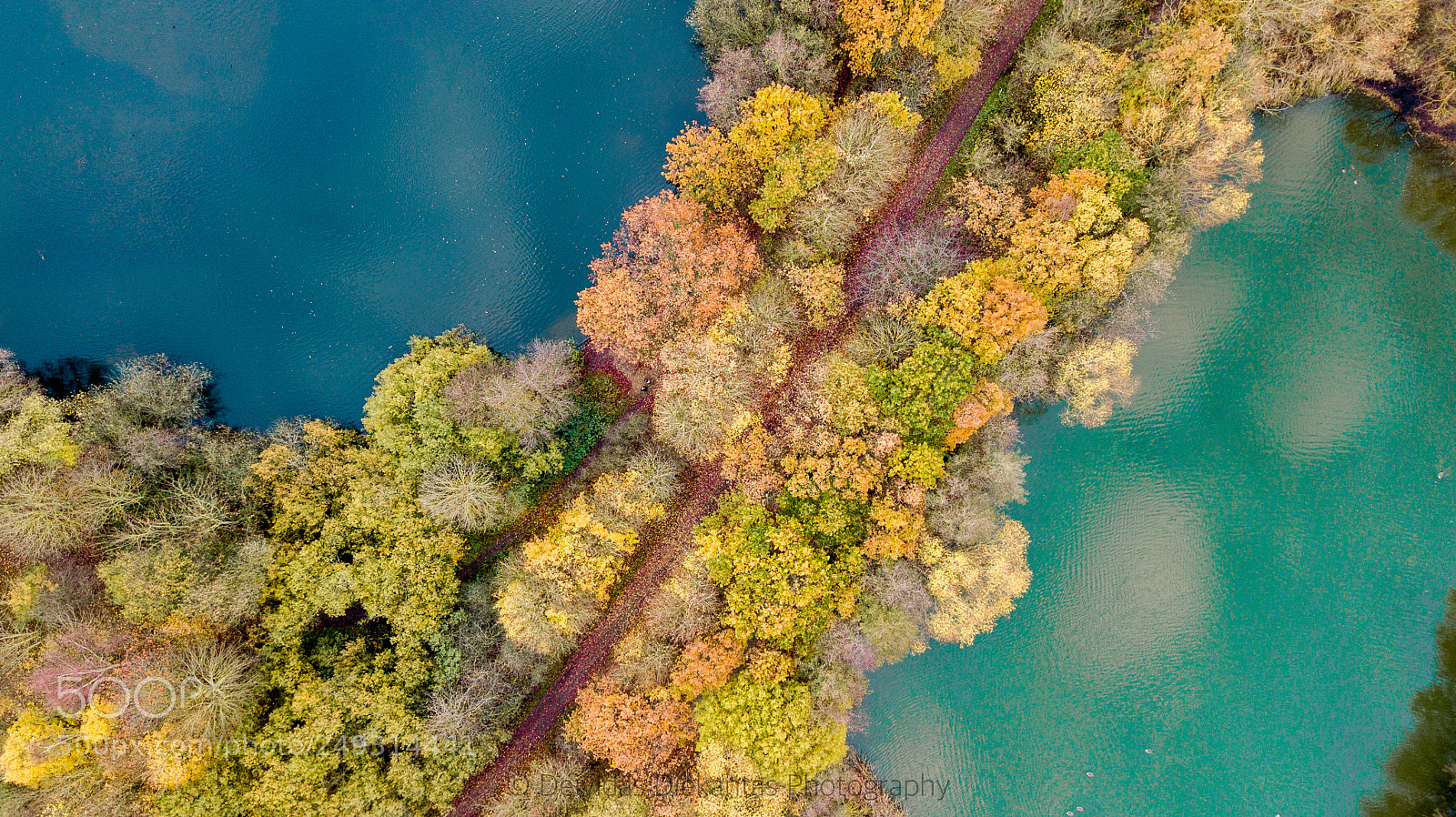 DJI FC220 sample photo. Autumn collors photography