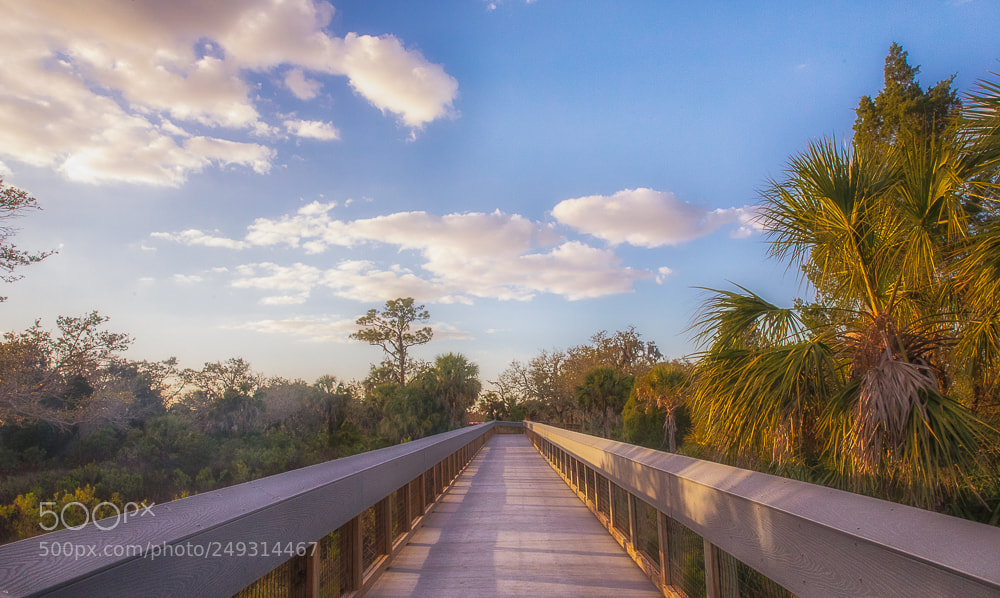 Canon EOS 5D Mark IV sample photo. Florida (of ) photography