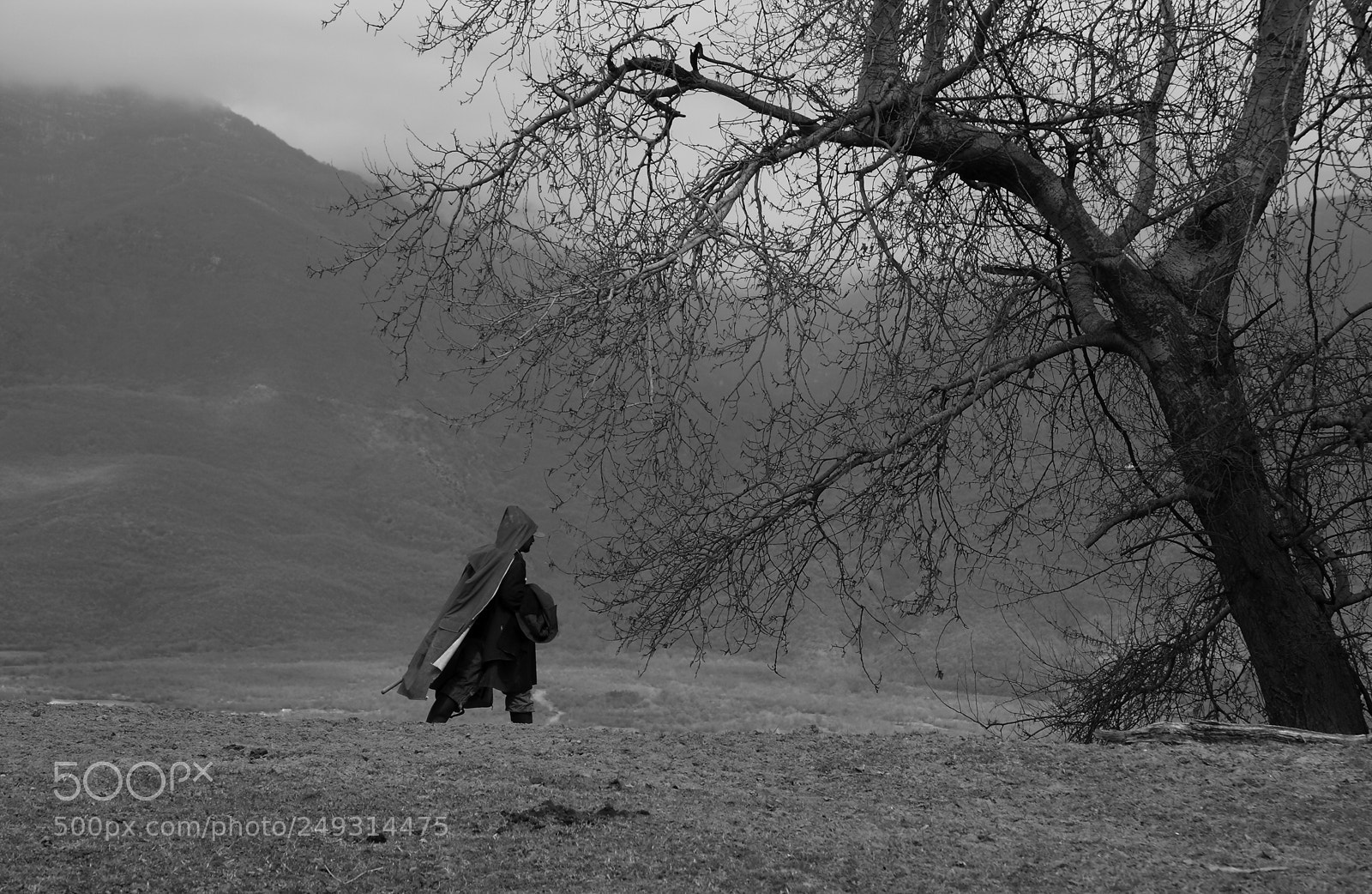 Canon EOS 40D sample photo. Untitled photography