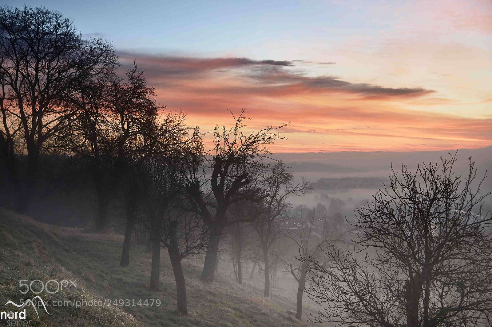Sony ILCA-77M2 sample photo. Mystischer nebel photography