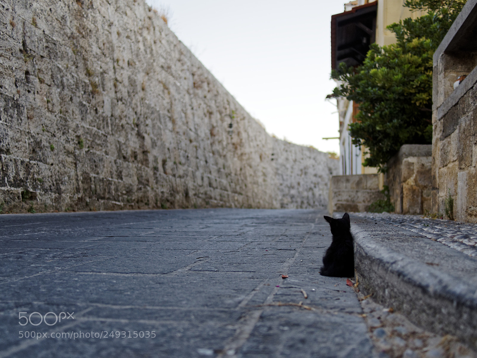 Olympus OM-D E-M10 sample photo. This world is so photography