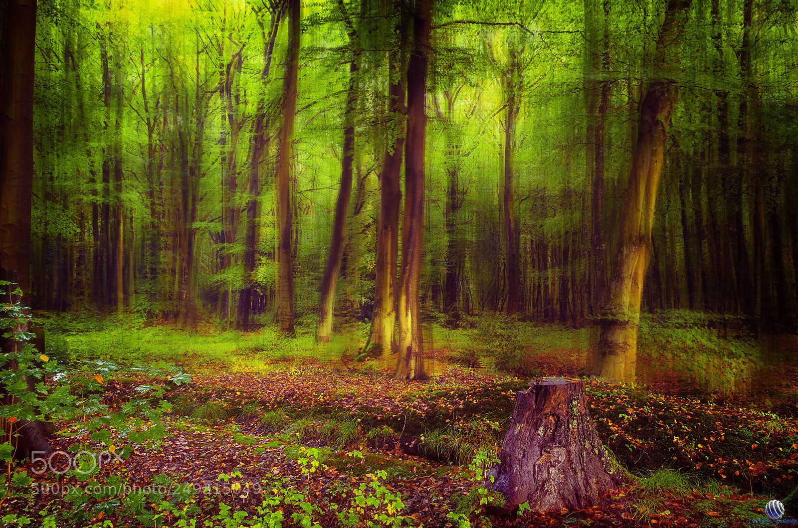 Pentax K-5 IIs sample photo. Mystisch photography