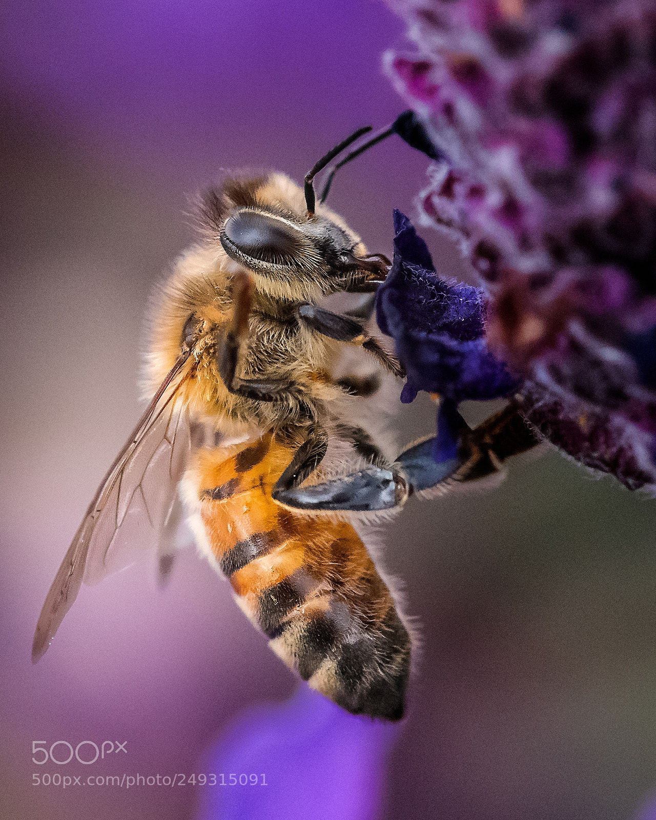 Nikon D810 sample photo. Happy to bee working photography