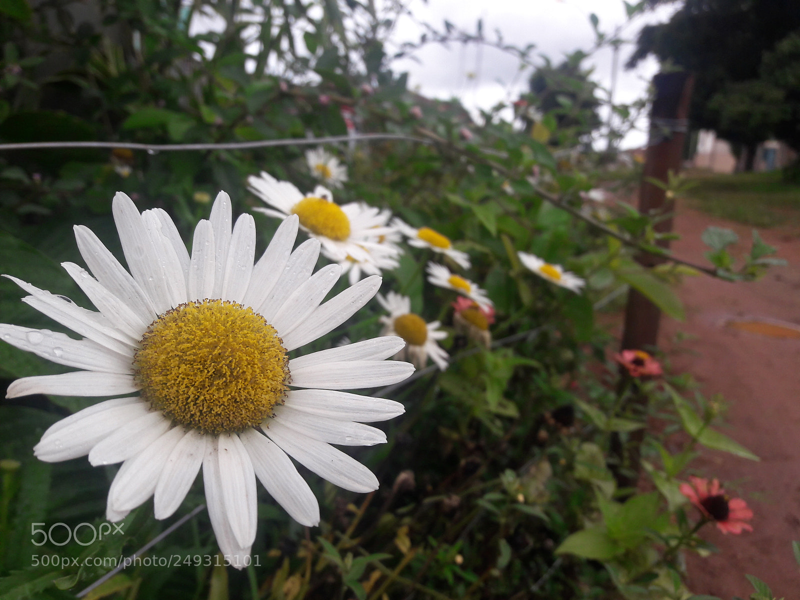 Samsung Galaxy J7 sample photo. Untitled photography