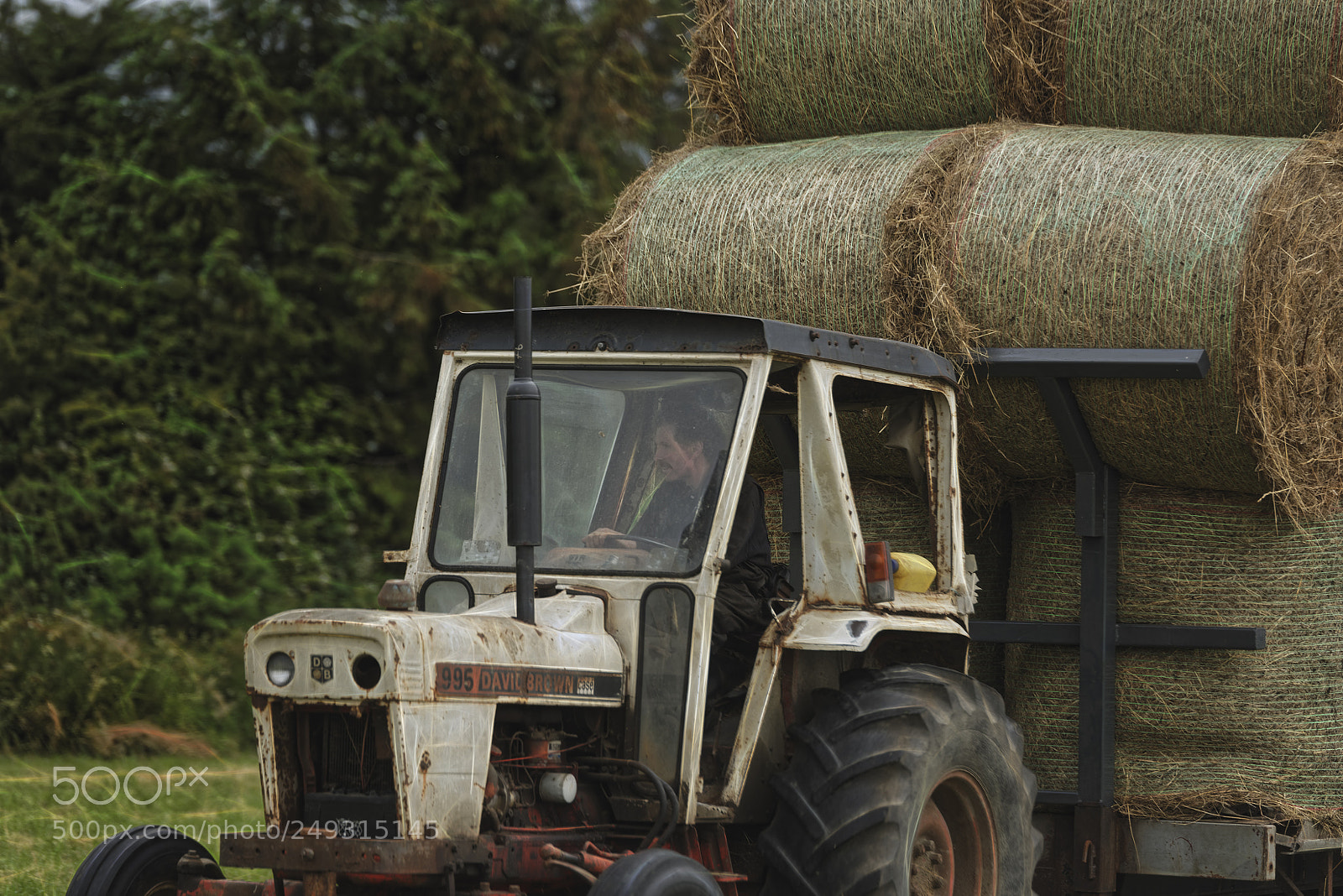 Nikon D810 sample photo. Bringing home the hay photography
