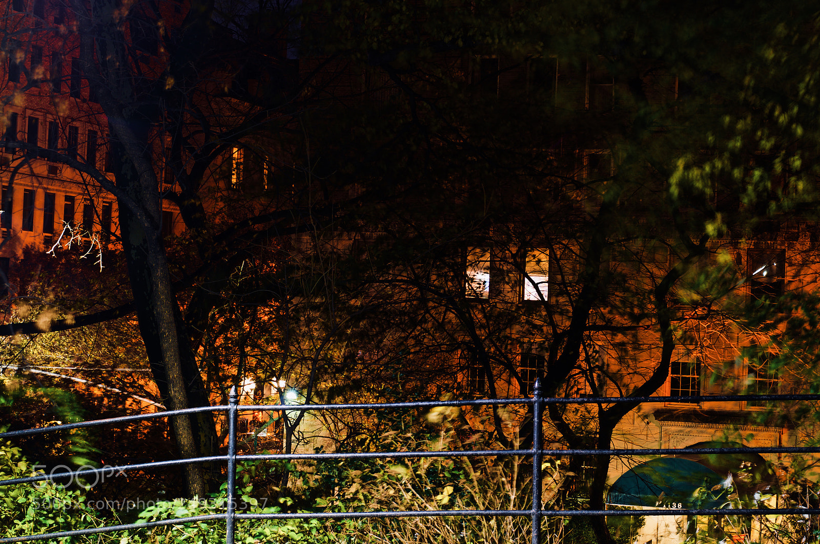 Nikon D300 sample photo. November, revisited photography