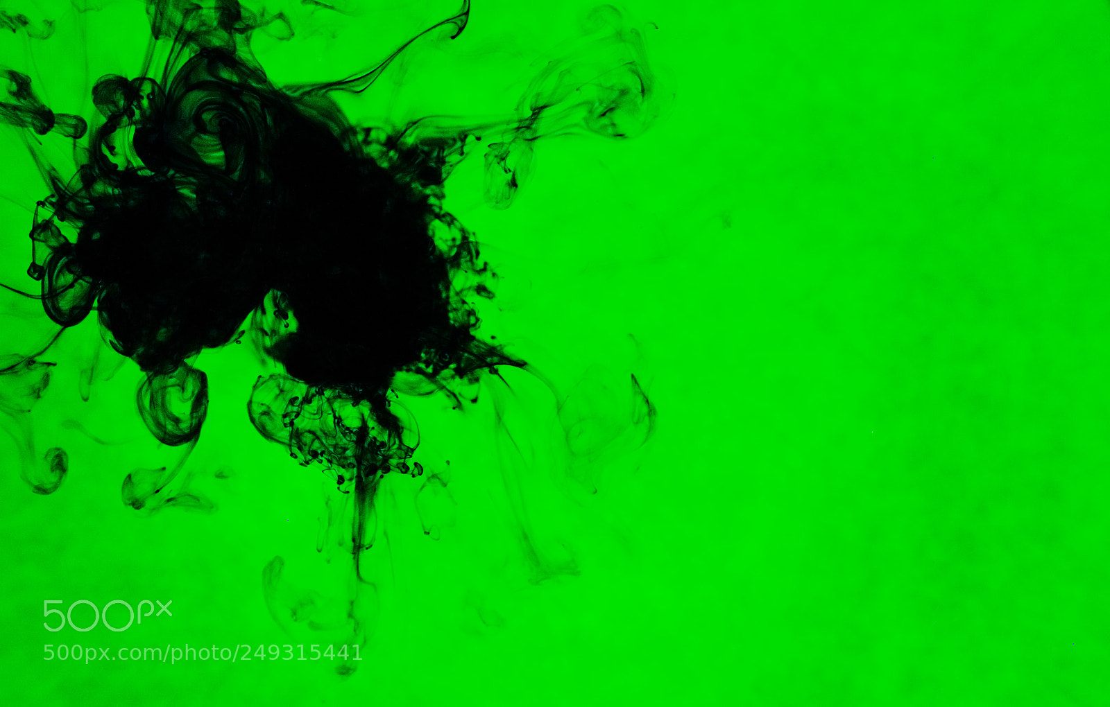 Canon EOS 550D (EOS Rebel T2i / EOS Kiss X4) sample photo. Black on green screen photography