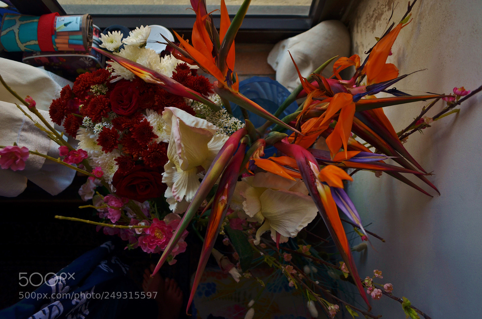 Nikon D5100 sample photo. P photography