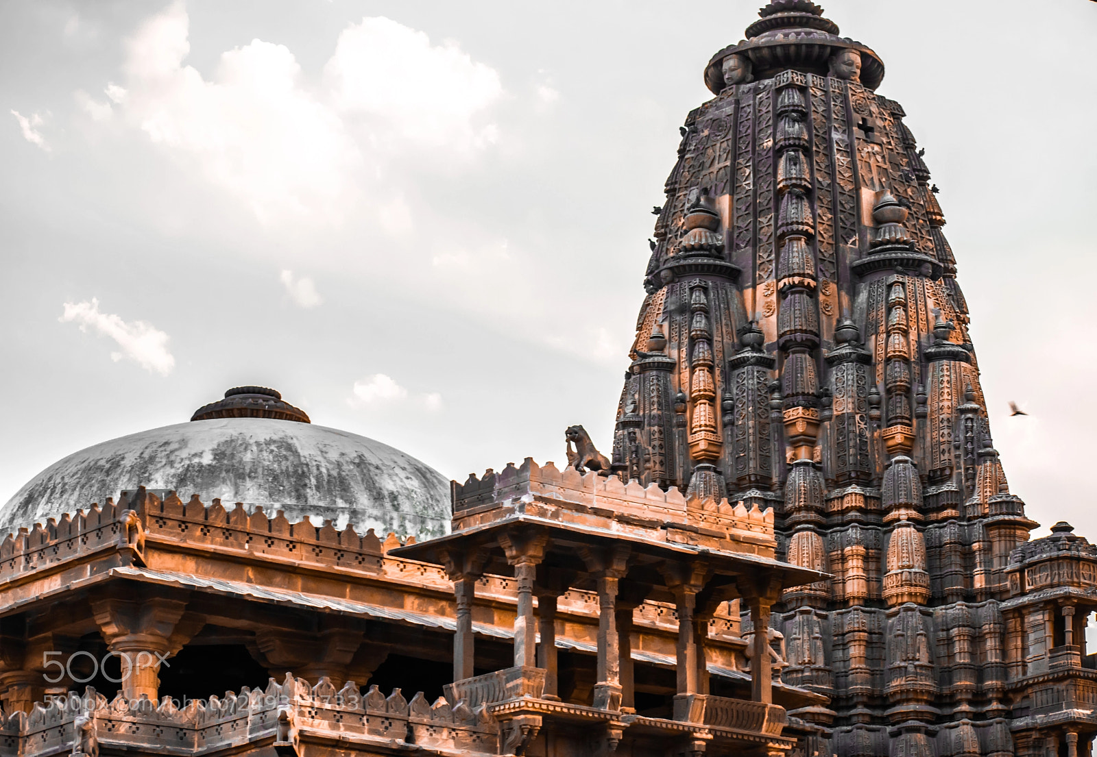 Nikon D5300 sample photo. Mandore garden photography