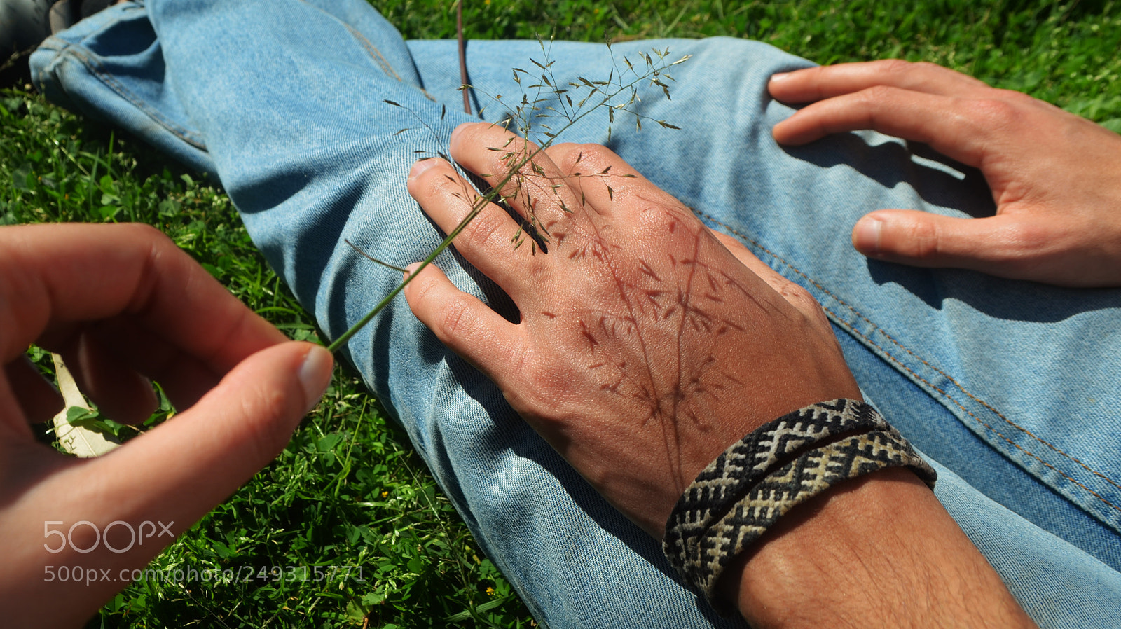 Nikon D5100 sample photo. S photography