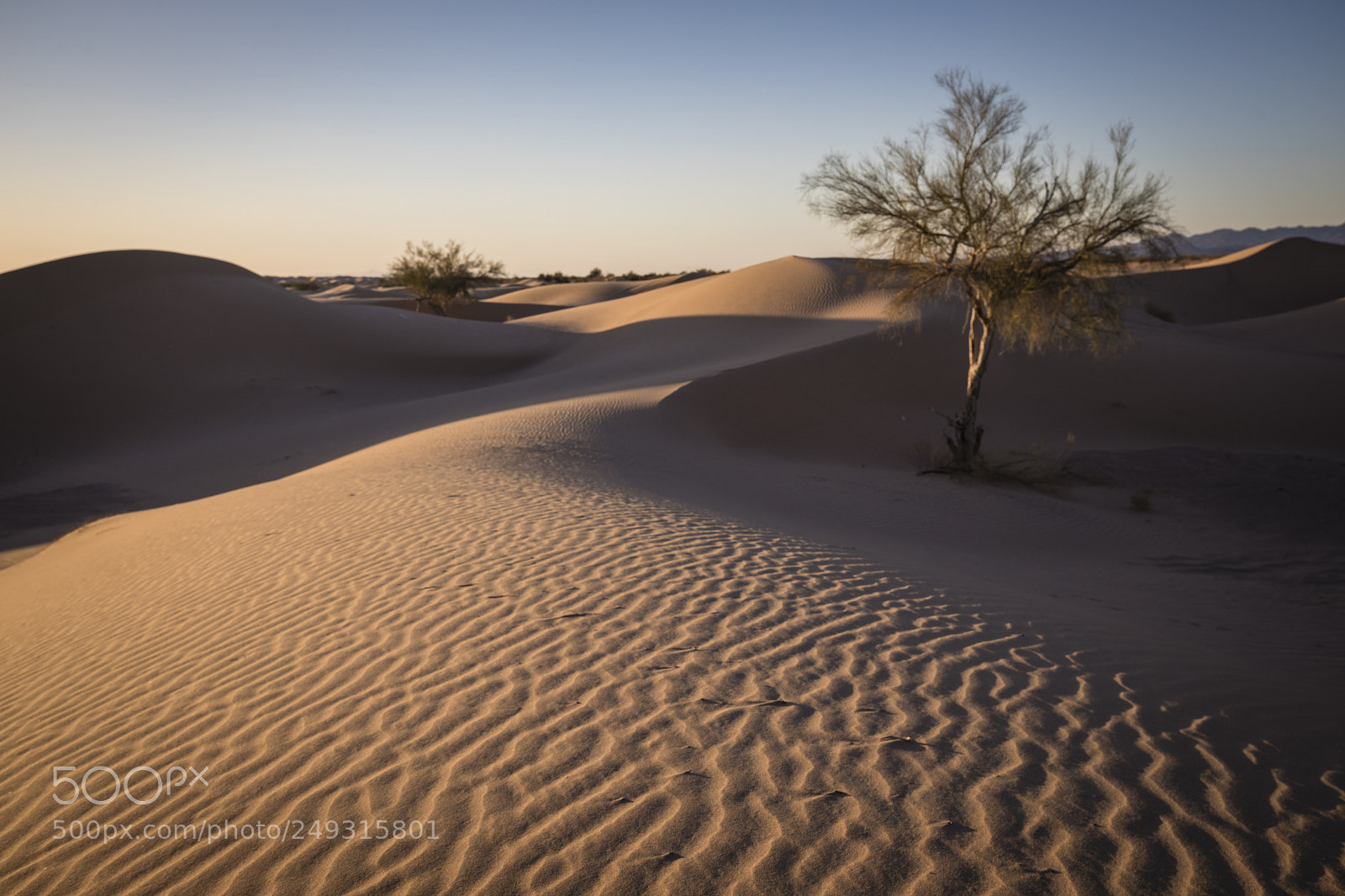 Canon EOS 5D Mark IV sample photo. Evening solace photography