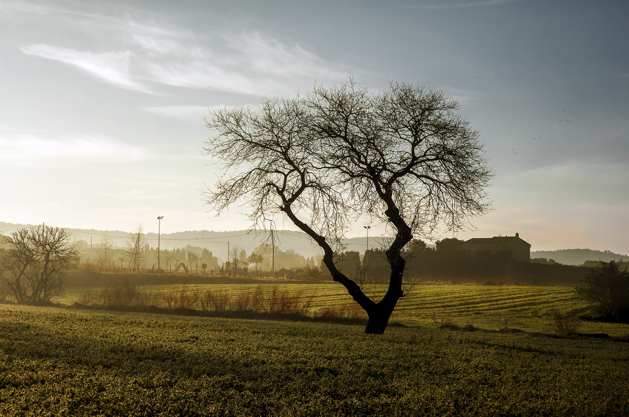 Nikon D2Xs sample photo. Empordà photography