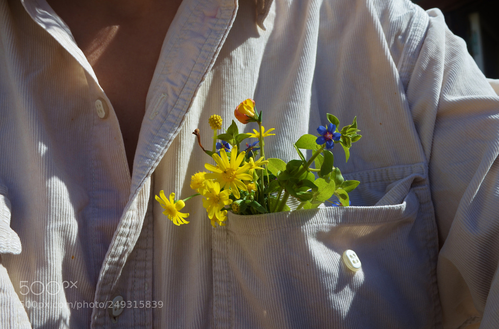 Nikon D5100 sample photo. Tyg photography
