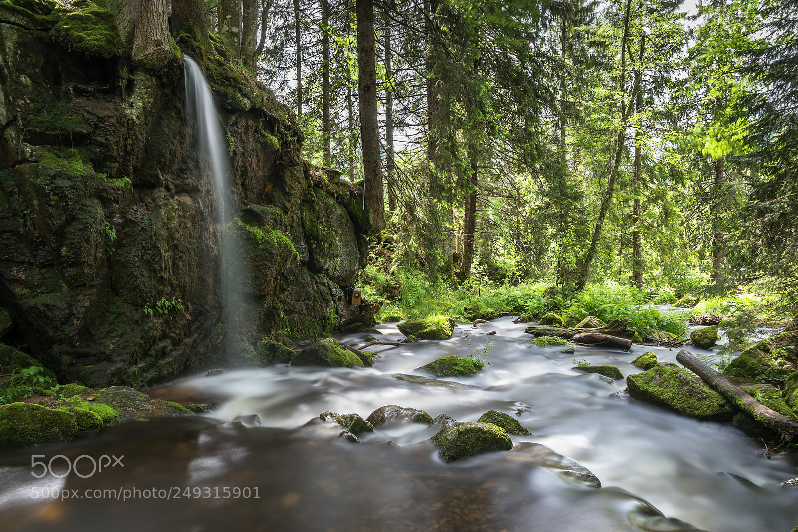 Nikon D810 sample photo. Pure tranquility photography