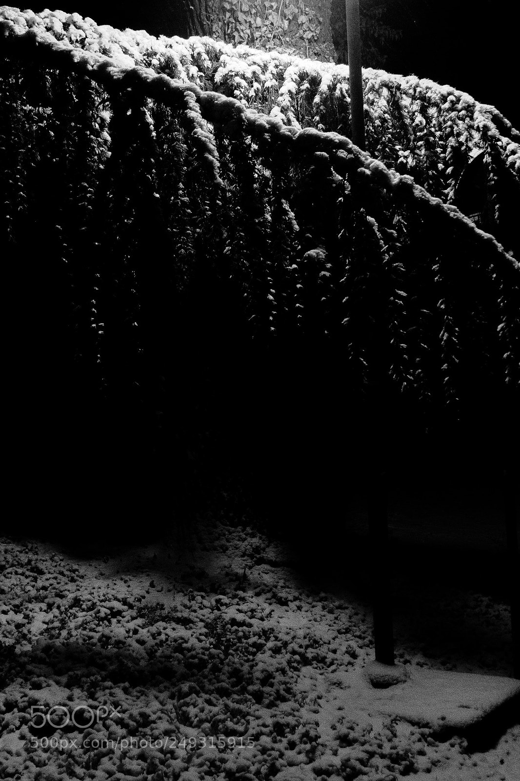 Canon EOS 1100D (EOS Rebel T3 / EOS Kiss X50) sample photo. Darksnow photography