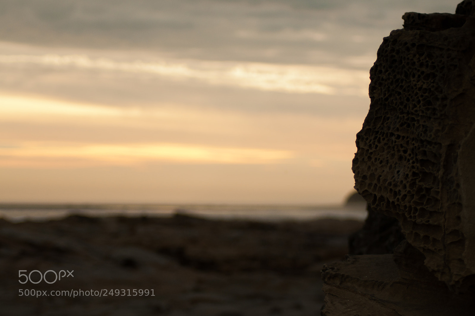 Nikon D90 sample photo. Cape paterson photography